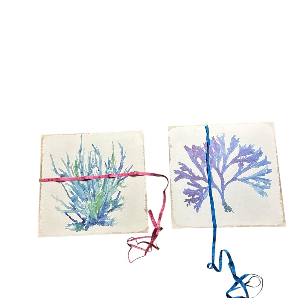 Set of Two Botanical Art Prints